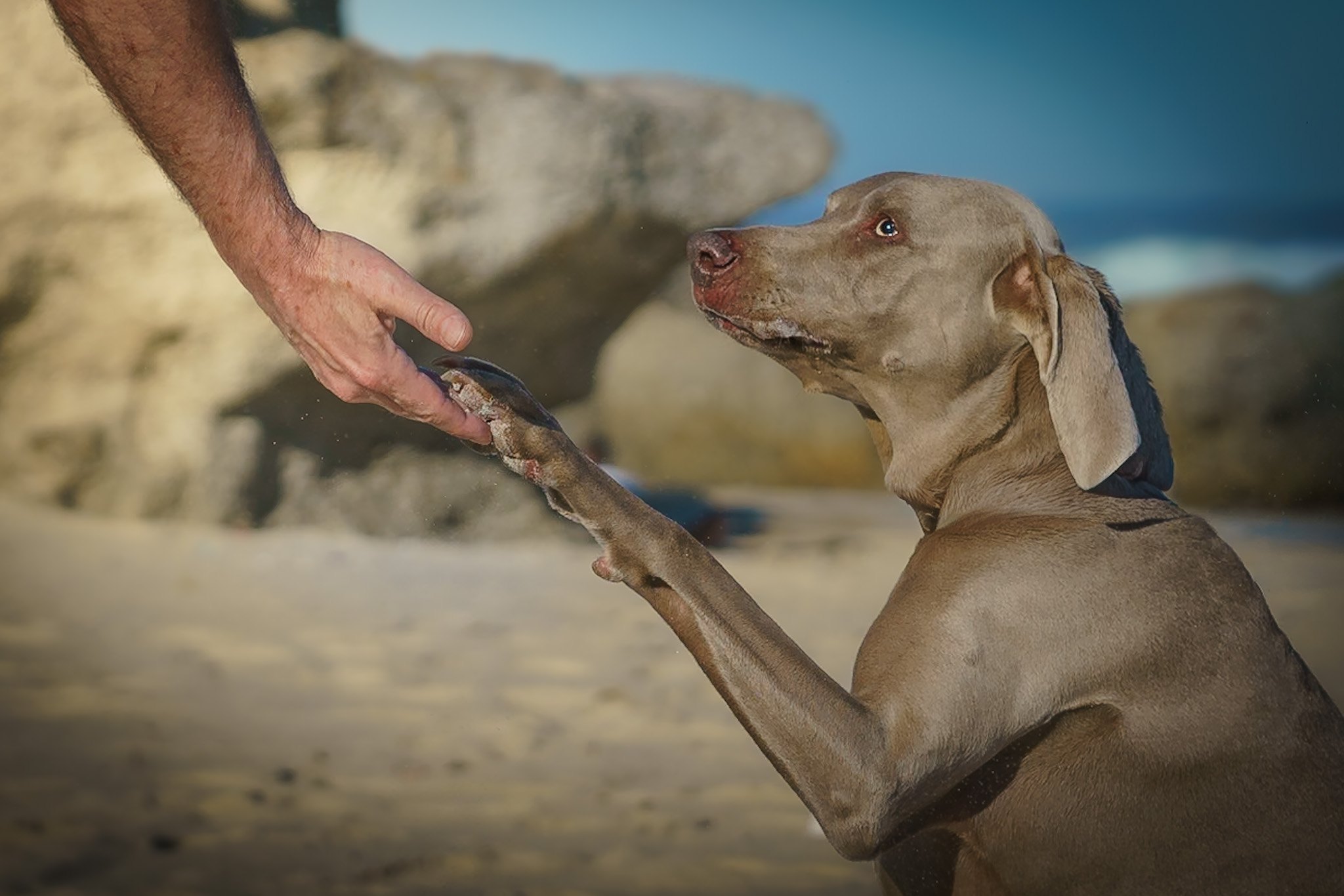 Main homepage hero photograph