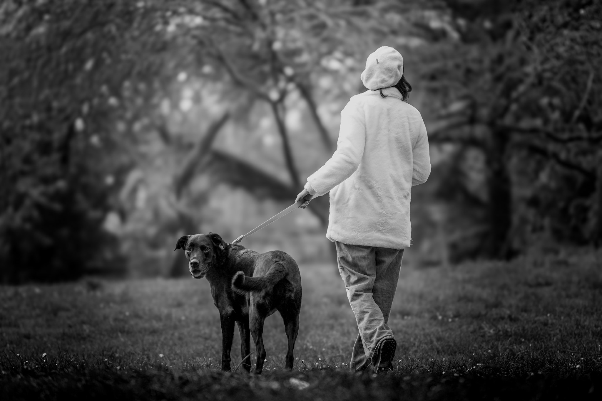Walking with dog
